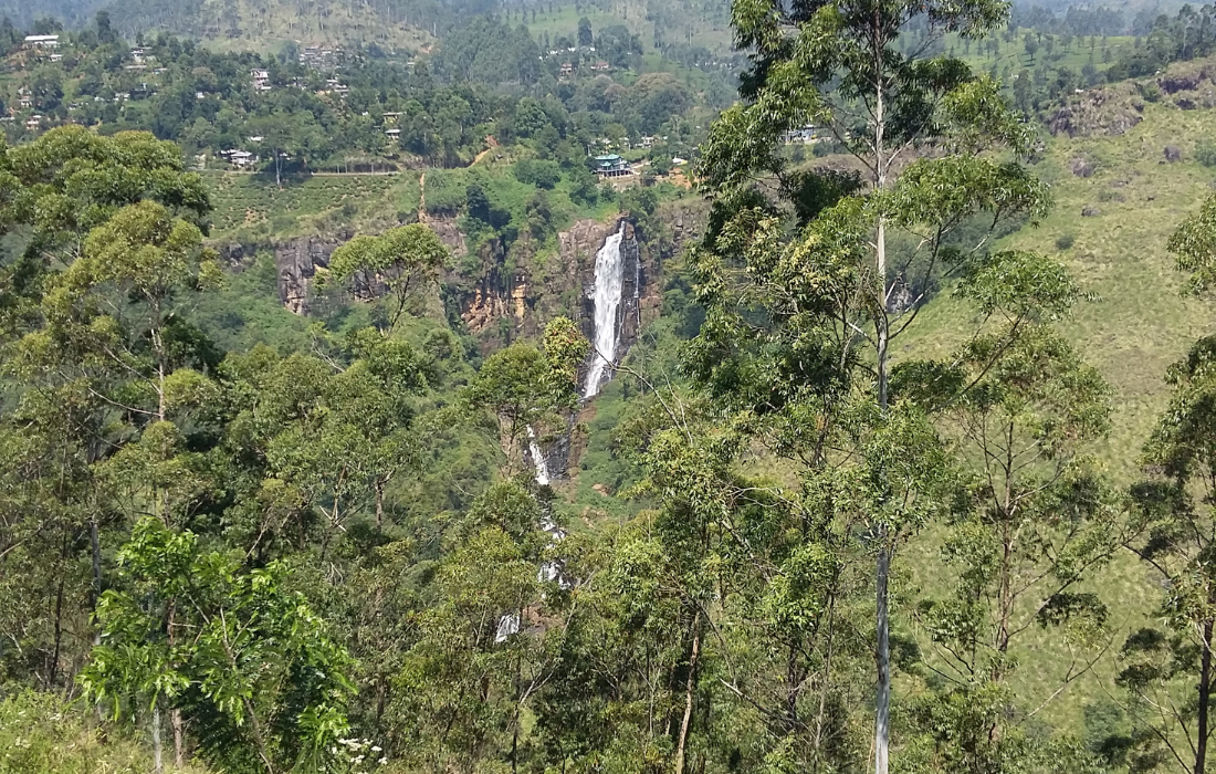 Image 21